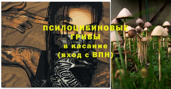 гидропоника Абаза