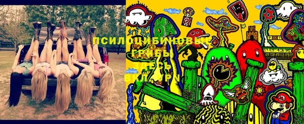 гидропоника Абаза