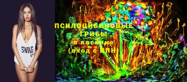гидропоника Абаза