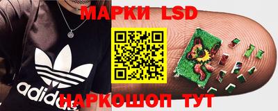 шишки Гай