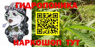 ГАЛЛЮЦИНОГЕННЫЕ ГРИБЫ Гатчина