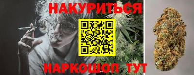 шишки Гай