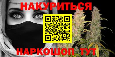 шишки Гай