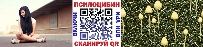 KRAKEN как войти  Балаково  Галлюциногенные грибы прущие грибы 