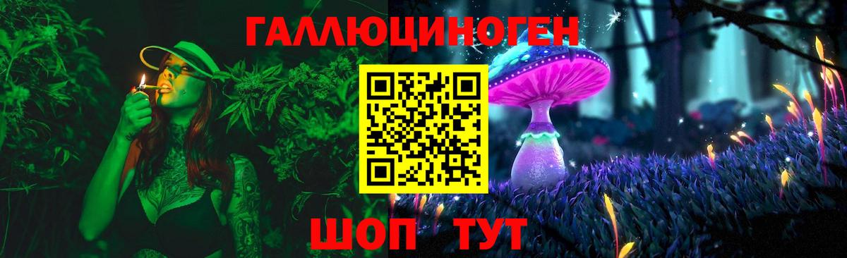 Балаково  Галлюциногенные грибы Psilocybine cubensis  наркотики  Галлюциногенные грибы мицелий  Вход с VPN 