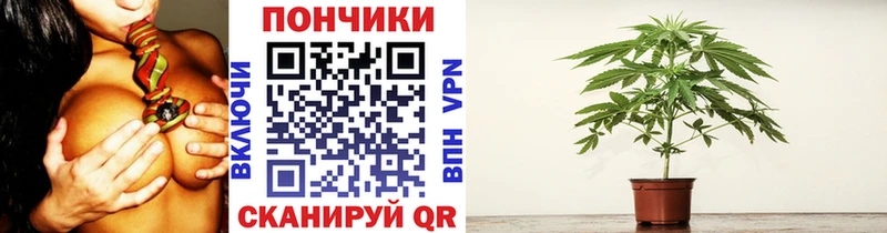 Бошки марихуана гибрид  Балаково 